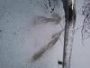 New update from 02Z71CP-4wd-snow.jpg
