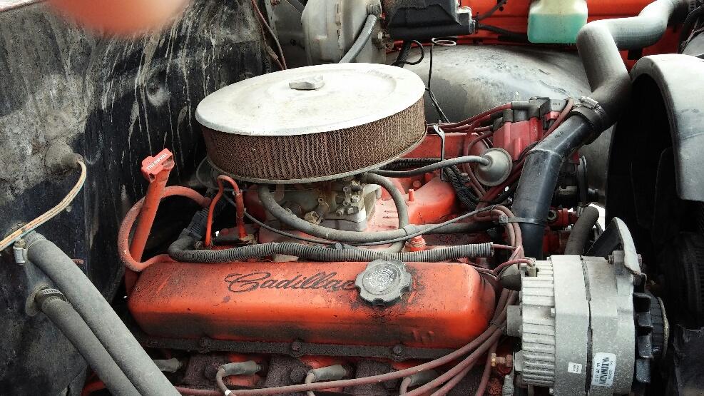 Name:  8078F1BA-1B41-4697-B8F3-8230E64EFABF_zpszjhpfvec.jpg
Views: 490
Size:  135.7 KB