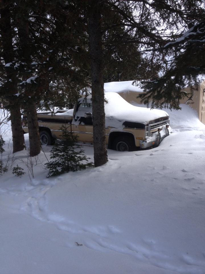 Name:  549433_10152589154835529_1425471689_n_zpscd518462.jpg
Views: 352
Size:  91.6 KB