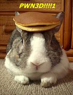 Name:  PWN3D_BUNNY.jpg
Views: 70
Size:  18.2 KB