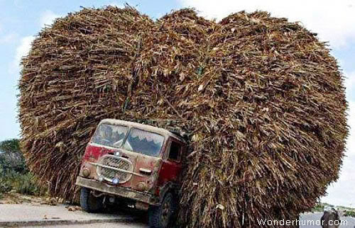 Name:  funny_car_pictures_09.jpg
Views: 143
Size:  70.2 KB