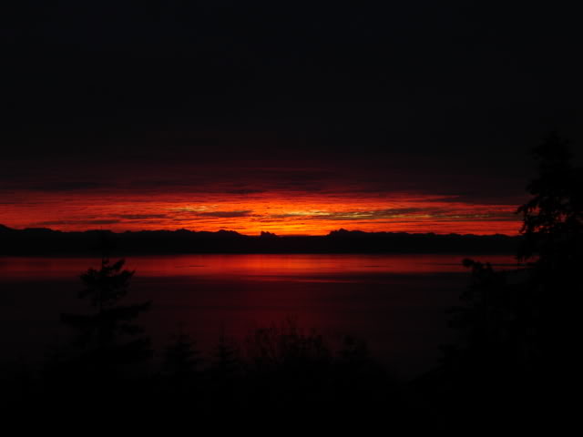 Name:  Hellfire3.jpg
Views: 50
Size:  17.0 KB