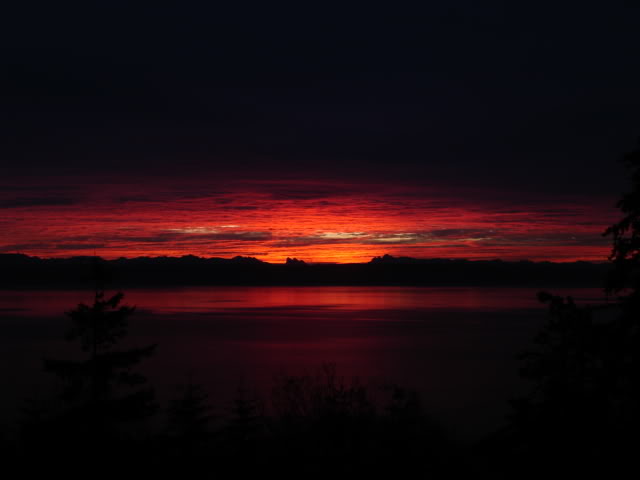Name:  Hellfire7.jpg
Views: 47
Size:  18.5 KB
