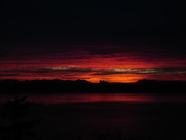 Name:  Hellfire9.jpg
Views: 41
Size:  19.5 KB