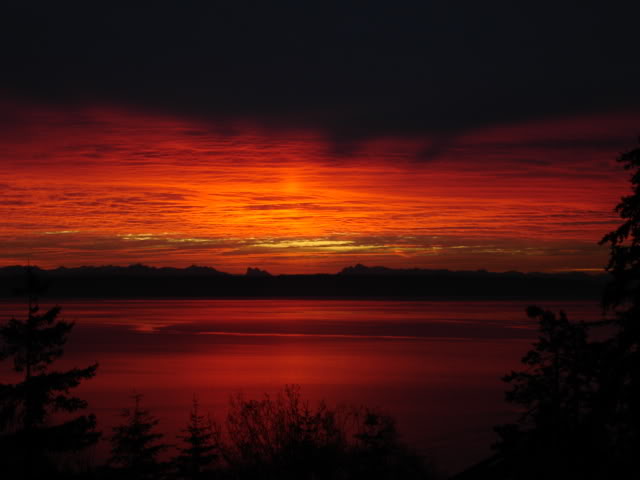 Name:  Hellfire12.jpg
Views: 45
Size:  27.9 KB