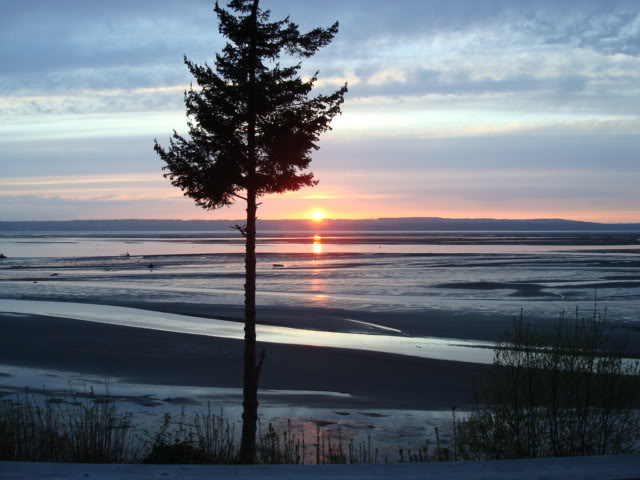 Name: 039.jpg
Views: 36
Size: 59.2 KB