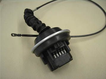 Name:  Myxea.jpg
Views: 31
Size:  12.3 KB