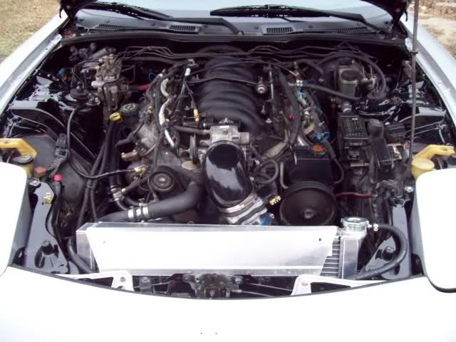 Name:  086f03e9.jpg
Views: 68
Size:  48.7 KB