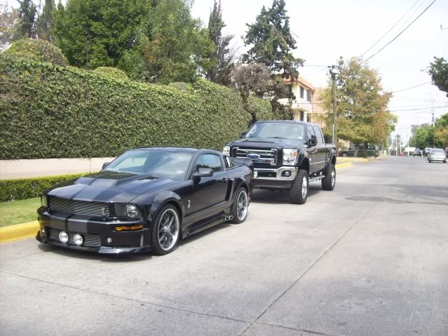 Name:  REUNIONMUSTANGBLACK009.jpg
Views: 180
Size:  87.0 KB