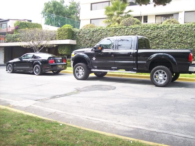 Name:  REUNIONMUSTANGBLACK003.jpg
Views: 214
Size:  88.1 KB
