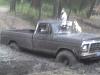 new guy to the forum-image44.jpg