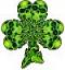 Mr_Shamrock